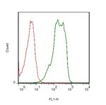 NTCP/SLC10A1 Antibody in Flow Cytometry (Flow)