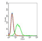 NTCP/SLC10A1 Antibody in Flow Cytometry (Flow)