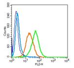 LAMP-1 Antibody in Flow Cytometry (Flow)