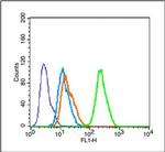 Tau Antibody in Flow Cytometry (Flow)