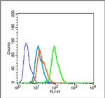 Tau Antibody in Flow Cytometry (Flow)