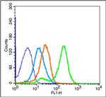 CD20 Antibody in Flow Cytometry (Flow)