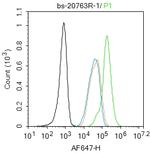 PARP1 Antibody in Flow Cytometry (Flow)