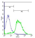 TSHR Antibody in Flow Cytometry (Flow)
