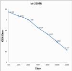 V5 tag Antibody in Immunohistochemistry (Paraffin) (IHC (P))