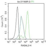 RASAL2 Antibody in Flow Cytometry (Flow)