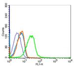 Uromodulin Antibody in Flow Cytometry (Flow)