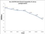 duck hepatitis A virus 1 Genome polyprotein Antibody in ELISA (ELISA)