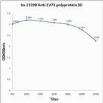 EV71 polyprotein 3D Antibody in ELISA (ELISA)