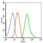 ganglioside GM1 Antibody in Flow Cytometry (Flow)