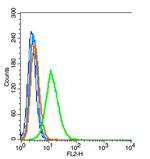 CD47/MER6 Antibody in Flow Cytometry (Flow)