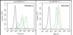 SV2A Antibody in Flow Cytometry (Flow)