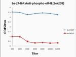 Phospho-eIF4E (Ser209) Antibody in ELISA (ELISA)