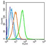 IL4R Antibody in Flow Cytometry (Flow)