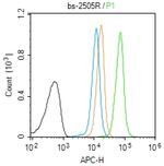 Phospho-PRKCB (Thr500) Antibody in Flow Cytometry (Flow)