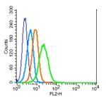 IL-3R alpha/CD123 Antibody in Flow Cytometry (Flow)