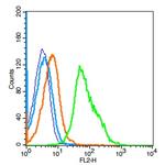 IL22RA2 Antibody in Flow Cytometry (Flow)