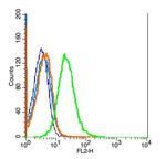 IL22RA2 Antibody in Flow Cytometry (Flow)