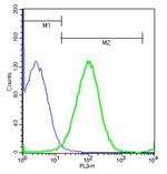 IL-33 Antibody in Flow Cytometry (Flow)