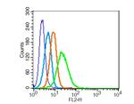 LRP1/CD91 Antibody in Flow Cytometry (Flow)