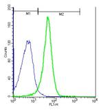 NFAM1 Antibody in Flow Cytometry (Flow)