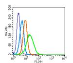 SIRP Alpha Antibody in Flow Cytometry (Flow)