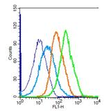 GSTp1 Antibody in Flow Cytometry (Flow)