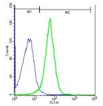TRPM2 Antibody in Flow Cytometry (Flow)