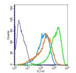 MAPKAP Kinase 2 Antibody in Flow Cytometry (Flow)
