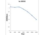 Phospho-cdc2 (Thr14) Antibody in ELISA (ELISA)