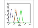 Phospho-Histone H3 (Ser28) Antibody in Flow Cytometry (Flow)