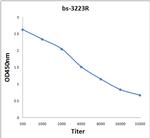 Phospho-HSL (Ser863) Antibody in ELISA (ELISA)