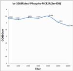 Phospho-MEF2A (Ser408) Antibody in ELISA (ELISA)