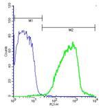 Phospho-RSK2 (Tyr529) Antibody in Flow Cytometry (Flow)