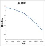 Phospho-A Raf (Ser299) Antibody in ELISA (ELISA)