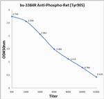 Phospho-Ret (Tyr905) Antibody in ELISA (ELISA)