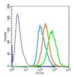 Phospho-SMC1 (Ser957) Antibody in Flow Cytometry (Flow)