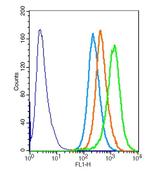 SMC1 Antibody in Flow Cytometry (Flow)