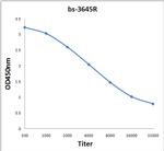 MAGE-A4 Antibody in ELISA (ELISA)