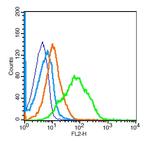 CD1d1 Antibody in Flow Cytometry (Flow)