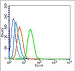Phospho-P53 (Ser315) Antibody in Flow Cytometry (Flow)
