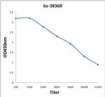 Methyl-PABP (Arg455, Arg460) Antibody in ELISA (ELISA)