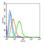 BCMA/CD269 Antibody in Flow Cytometry (Flow)