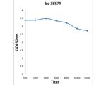 SSDD/Steroid sulfatase Antibody in ELISA (ELISA)