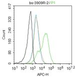 Lrp2/Megalin Antibody in Flow Cytometry (Flow)