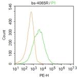 ATP receptor Antibody in Flow Cytometry (Flow)