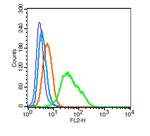 ICAM1 Antibody in Flow Cytometry (Flow)