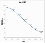 Kilham Rat Virus/KRV-VP1/KRV-VP2 Antibody in ELISA (ELISA)
