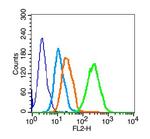 CD19 Antibody in Flow Cytometry (Flow)