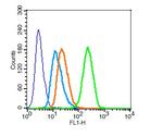 MUC1 Antibody in Flow Cytometry (Flow)